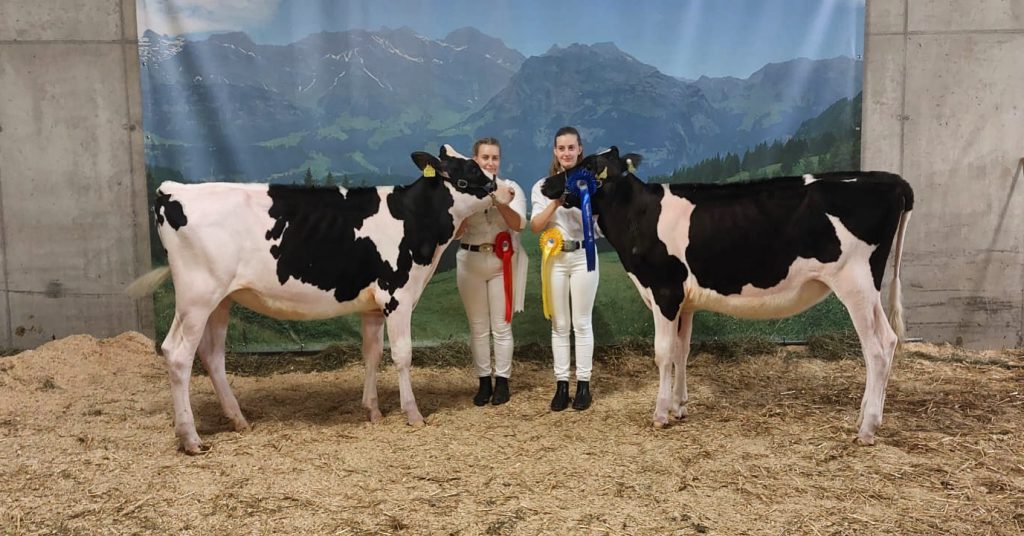 Championat Katharinenhof Gruber November 2023